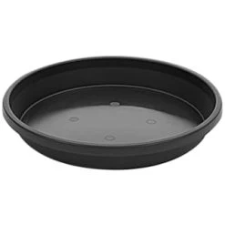 B&M Saucer Planter - Black