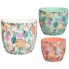B&M Superbloom Sun Ceramic Plant Pots 3pk - Floral